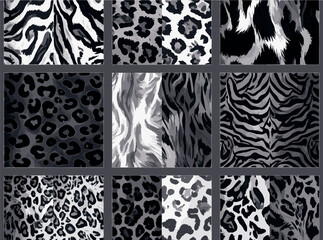 Obraz premium Print