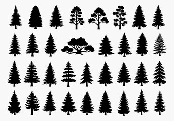 Fototapeta premium Pine tree silhouettes collection set on transparent background