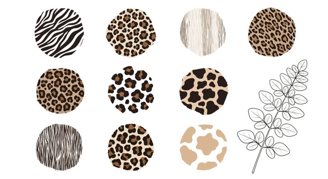 Animal print patterns, leopard spots, zebra stripes, giraffe texture, safari inspired designs, background elements