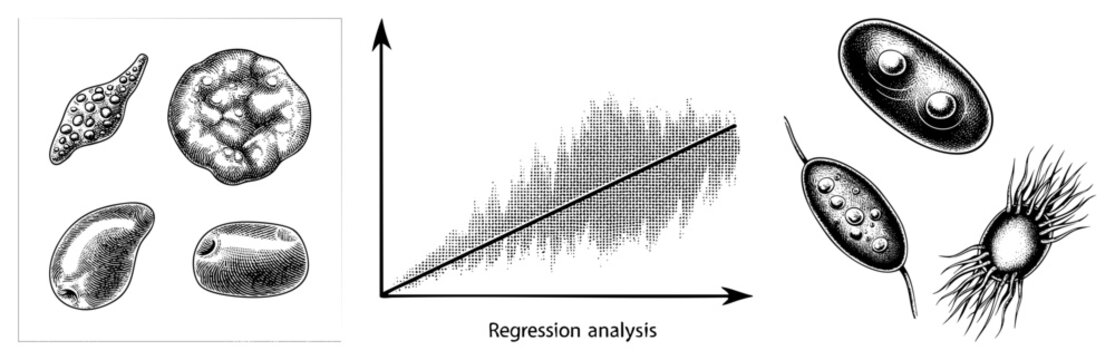 This collection features microbes, including amoebas and protozoa, alongside a mathematical regression analysis plot. These biological specimens and data visualizations show fine stippling detail.