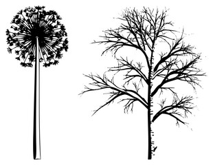 Obraz premium Striking black silhouette featuring a tall dandelion puff and a leafless tree. This botanical ink drawing showcases a wild weed and a stark deciduous branch set against a void.