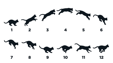 Fototapeta premium Black vector illustration showing a sequence of twelve cat silhouettes performing a graceful jumping motion