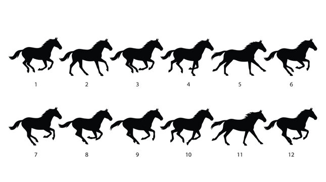 A detailed black vector illustration showing twelve sequential frames of a horse running in motion