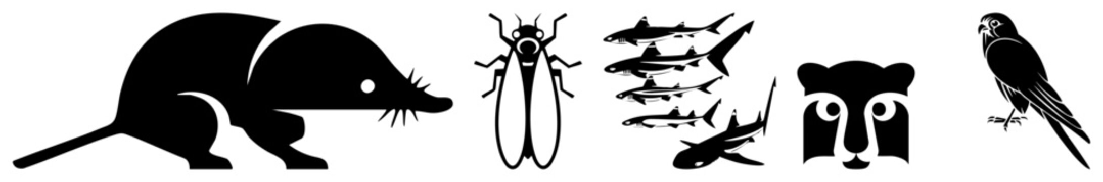 Diverse wildlife silhouettes including a pointy nosed shrew, flying insect, several sharks, a face, and a bird. These animal motifs, like the little mole and sea predators, offer clean shapes.