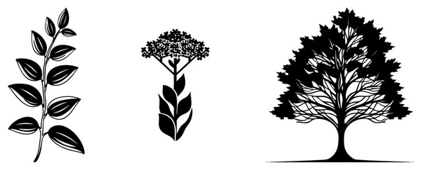 Fototapeta premium Collection of organic shapes including a leafy sprig, a woodland shrub, and a sturdy timber piece. These botanical silhouettes feature bold black and natural foliage.