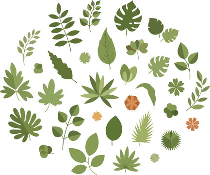 Collection of Diverse Green Tropical Plant Leaves and Foliage.
