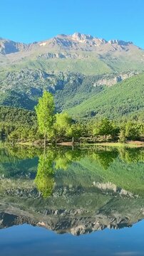 Enchanting Misty Lake View Surrounded by Trees and Mountains