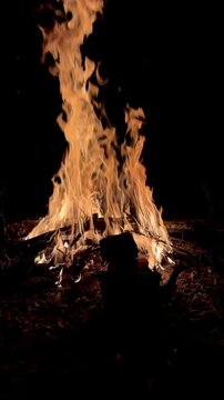 Close Up of Burning Firewood and Glowing Embers at Night