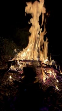 Warm Outdoor Wood Fire Pit in the Wilderness