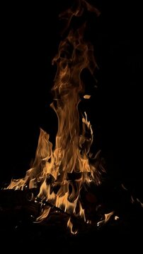 Roaring Bonfire Flames and Sparks on a Dark Background