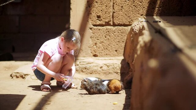 Young girl feeding guinea pigs at Monkey Park in Tenerife, Spain, during a family visit to a wildlife park