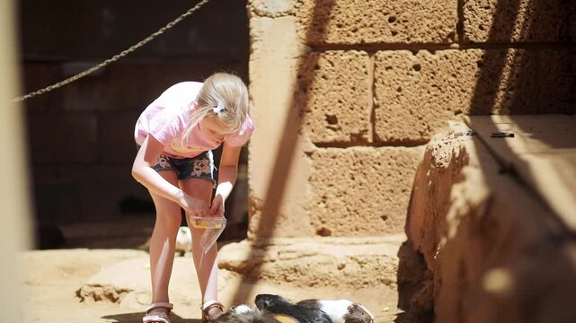 Young girl feeding guinea pigs at Monkey Park in Tenerife, Spain, during a family visit to a wildlife park
