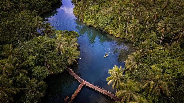 Kayak tour on a blue river bending surrounded by lush green palm trees in Siargao, Philippines, South East Asia