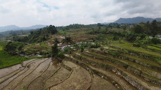 Aerial view of terraced rice fields near Rawa Gede Jonggol Lake with lush green hills and mountains under a cloudy sky in Kecamatan Sukamakmur, Jawa Barat, Indonesia.