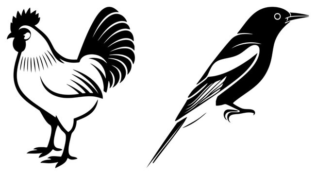 This graphic features a farmyard rooster and a graceful songbird in a minimalist silhouette style. A classic cock and a little birdie are presented with bold and high contrast.