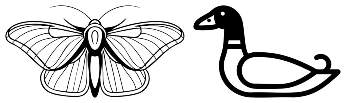 Clean of a moth or flutterby paired with a simple waterfowl silhouette. These drawings feature a stylized duck and a delicate winged insect in a aesthetic.