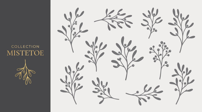 Hand drawn mistletoe branch collection in elegant minimalist botanical line art style on white background