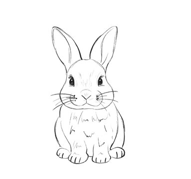 Rabbit sitting still with big ears and a friendly face in simple line art style