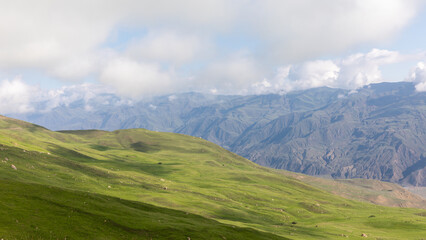 Fototapeta premium Scenic trekking road leading toward Mount Shalbuzdag, with rolling green alpine hills and dramatic Caucasus mountain ridges under cloudy sky, Dagestan, Russia