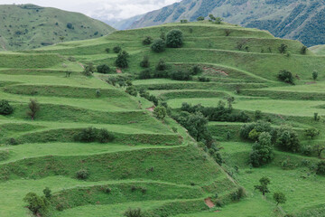 Naklejka premium Lush green stepped hills and traditional agricultural terraces at Chokh terraces, Dagestan, Russia, with mountain ridges and cloudy sky in the background