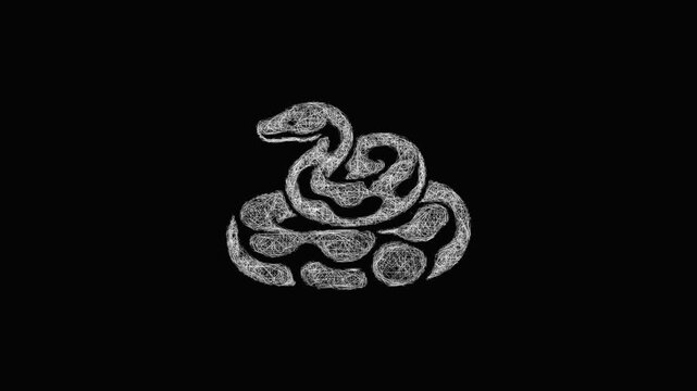 Sketch boa constrictor icon animation - smooth progressive reveal