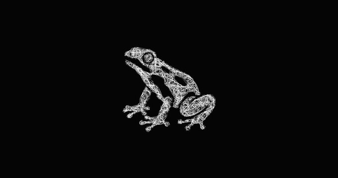 Sketch poison dart frog icon animation - smooth progressive reveal