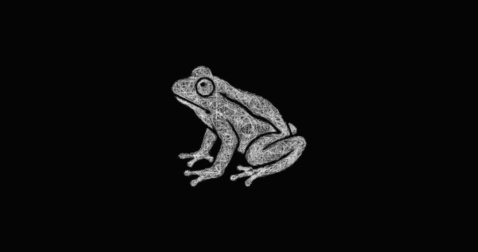 Sketch frog icon animation - smooth progressive reveal