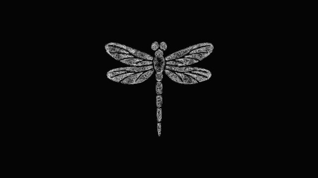 Sketch dragonfly icon animation - smooth progressive reveal