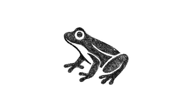 Sketch frog icon animation - smooth progressive reveal
