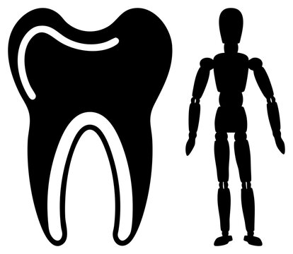 Stark black molar tooth alongside a jointed wooden mannequin. This dental enamel and artist dummy set features clean silhouette shapes and high contrast.