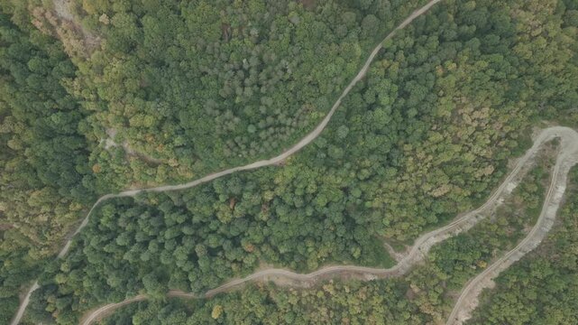 Top down drone shot ascending over a rural dirt road surrounded by lush green forest in Zonguldak, Turkey
