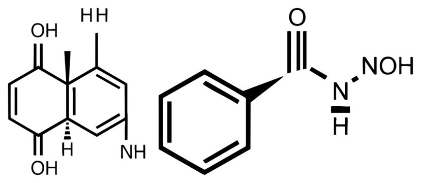 Scientific representation of a molecular skeleton featuring a group and a substituted hydroquinone, using standard chemical notation to show bonds.
