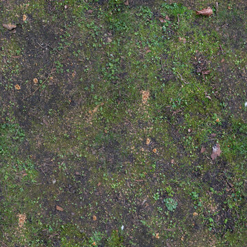Tileable Grass and Dirt Ground PBR Texture (Normal Map Included)