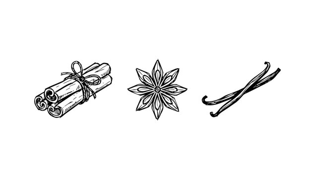 Spice ingredient doodle line assortment with cinnamon sticks, star anise, and vanilla pods bundle