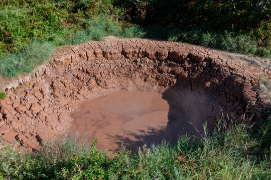 Geothermal mud pot with steaming water and cracked clay crater surrounded by green vegetation in the Valley of Geysers, Kamchatka Krai, Russia