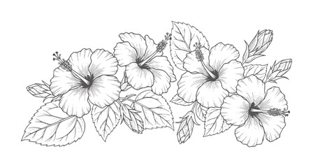 Black and white of blooming hibiscus flowers and leaves floral blossom © Mehedi