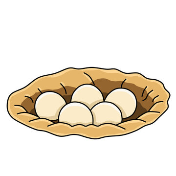 Sea turtle eggs inside a sand nest hole vector illustration