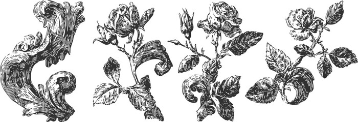 Fototapeta premium vintage floral engraving set hand drawn rose flowers and ornamental baroque swirl elements