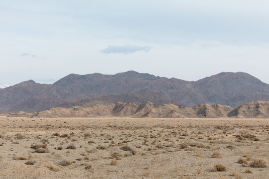 Wide panoramic view of dry steppe with sparse shrubs and layered rocky mountains under an overcast sky, natural wilderness scenery in Kyrgyzstan, Central Asia