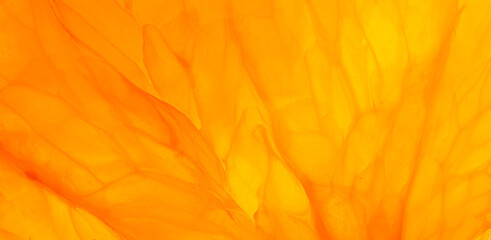 Macro Close-up Texture of Fresh Juicy Orange Pulp,A detailed macro close-up photograph showcasing the intricate and vibrant texture of fresh orange pulp, highlighting the natural juicy segments. © banjongseal324