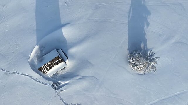 Top down aerial ascending view over wooden cabin and solitary snow covered tree on mountain field