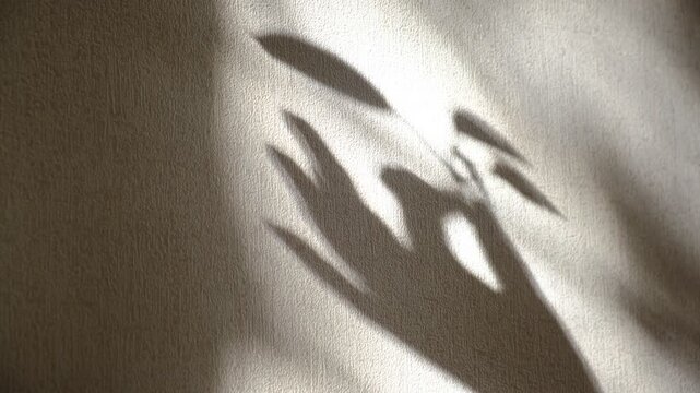 Blurred shadow dances on the wall, hand with flower.  Sustainable lifestyle: not just about actions, but about cultivating awareness, cherishing what we have, and living in balance with the Earth.