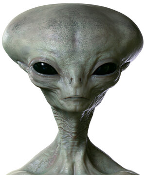 Grey alien head with large black eyes detailed skin texture, isolated on transparent background