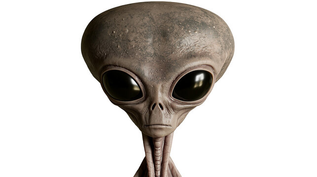Grey alien head with large black eyes, isolated on transparent background