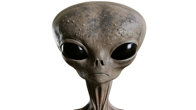Gray alien head with large black eyes textured skin, isolated on transparent background