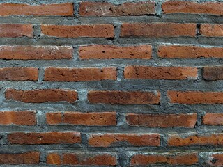 Fototapeta premium Seamless red brick wall texture with cement joints, natural lighting, and detailed masonry pattern suitable for architectural background and design use.