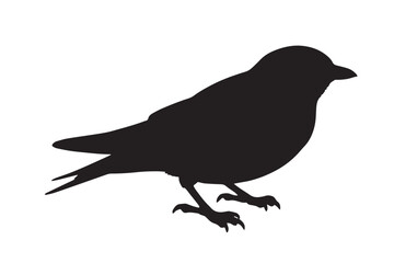 Fototapeta premium Purple Martin Bird Black Silhouette Isolated Vector Graphic Asset