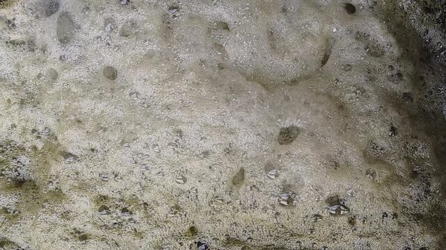 Video footage of foamy bubbles created by chemical reaction in liquid water. Ideal for science, chemistry, and abstract design projects.