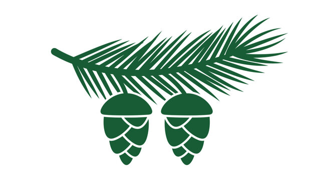 Green pine cones and needle branch.