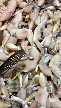 4K Macro Footage of Raw Frog Legs Cuisses De Grenouille at Supermarket, Fresh Exotic Meat Seafood B-roll Food